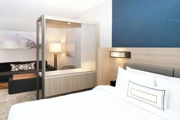 Süit, 1 En Büyük (King) Boy Yatak ve Çekyat (Mobility/Hearing Accessible, Tub)