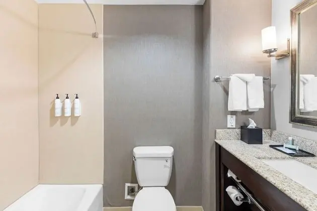 Süit, 1 Yatak Odası (Mobility Accessible, Roll-In Shower)