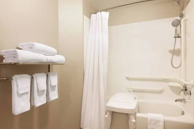 Stüdyo, 1 En Büyük (King) Boy Yatak (Mobility/Hearing Accessible, Tub)