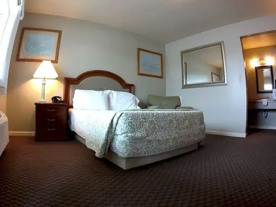 Oda, 1 En Büyük (King) Boy Yatak, Sigara İçilmez, Mikrodalga