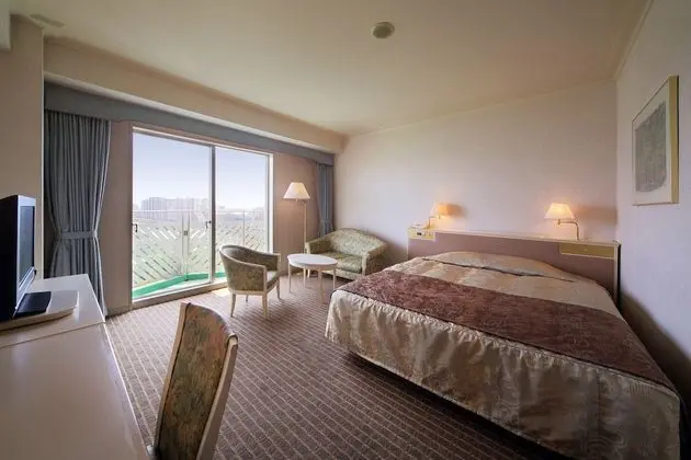 Deluxe Tek Büyük Yataklı Oda, Sigara İçilebilir