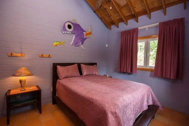 Comfort Oda, 1 Büyük (Queen) Boy Yatak, Sigara İçilmez