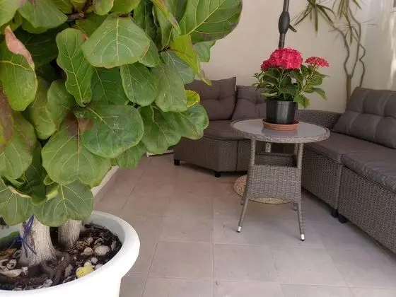 Apart Daire, 1 Yatak Odası, Balkon