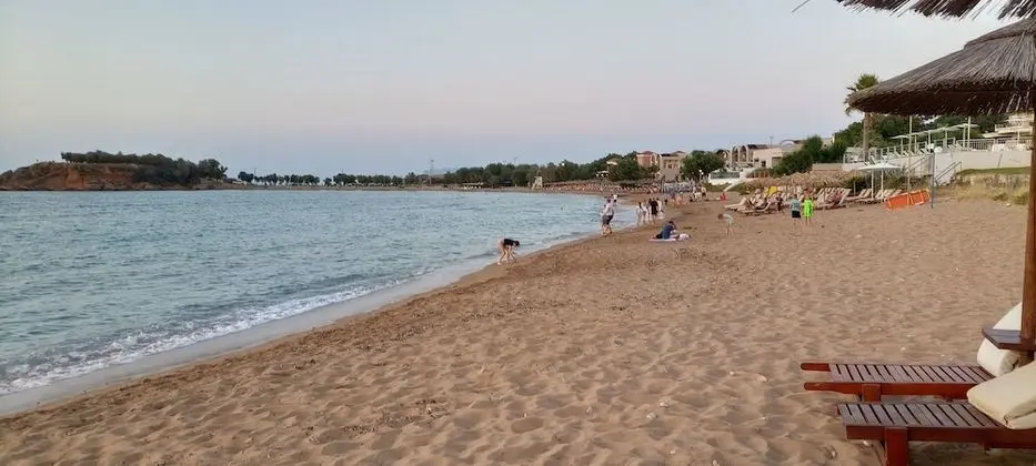 Apart Daire, 1 Yatak Odası, Balkon