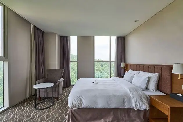 Deluxe Double-Random view,to assure mountain view,call hotel in advance.Surcharge 16,500 KRW