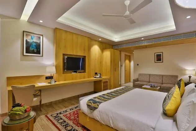 Deluxe Tek Büyük Yataklı Oda