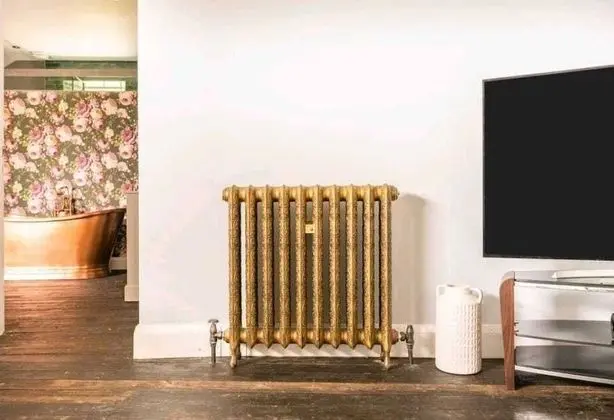 Superior Kır Evi, Özel Banyo