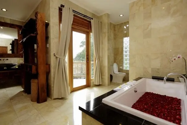 Çatı Katı Süiti (Penthouse) (Comp Daily Aft Tea & Welcome Massage)