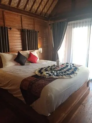 Deluxe Tek Büyük Yataklı Oda, Balkon