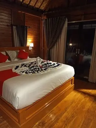 Deluxe Tek Büyük Yataklı Oda, Balkon