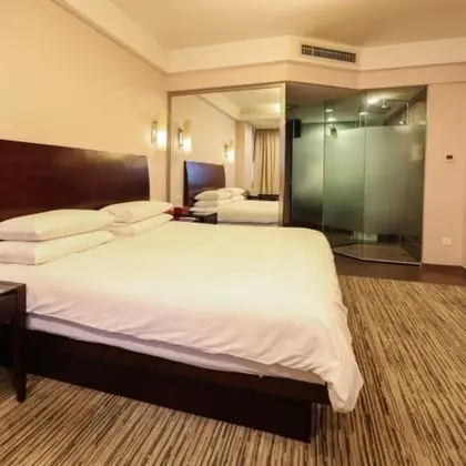 Deluxe Tek Büyük Yataklı Oda
