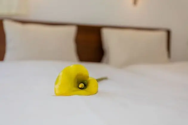 Comfort Apart Daire, 1 Yatak Odası, Dağ Manzaralı