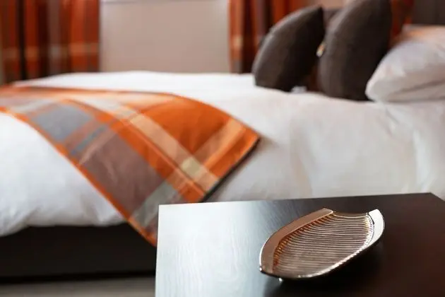 Premium Tek Büyük Yataklı Oda, 1 Çift Kişilik Yatak, Sigara İçilmez, Özel Banyo