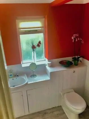 Premium Tek Büyük Yataklı Oda, 1 Çift Kişilik Yatak, Sigara İçilmez, Özel Banyo