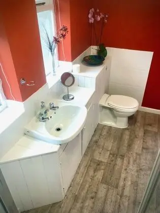 Premium Tek Büyük Yataklı Oda, 1 Çift Kişilik Yatak, Sigara İçilmez, Özel Banyo
