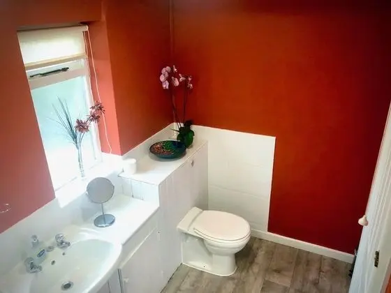 Premium Tek Büyük Yataklı Oda, 1 Çift Kişilik Yatak, Sigara İçilmez, Özel Banyo