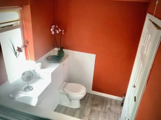 Premium Tek Büyük Yataklı Oda, 1 Çift Kişilik Yatak, Sigara İçilmez, Özel Banyo