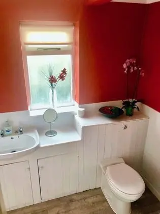 Standard Tek Büyük Yataklı Oda, 1 Çift Kişilik Yatak, Sigara İçilmez, Şehir Manzaralı