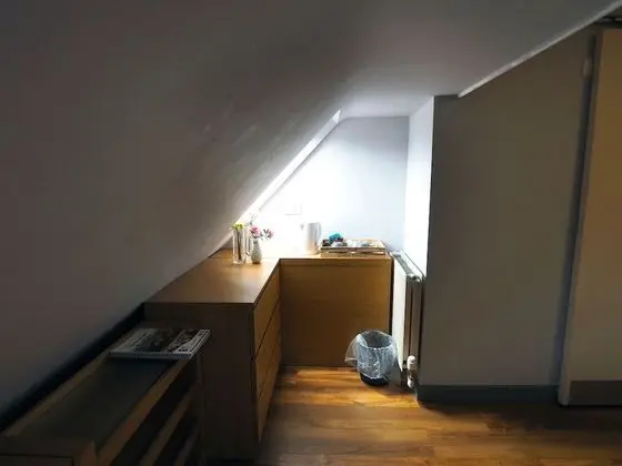 Basic Tek Büyük Yataklı Oda, Banyolu/Duşlu
