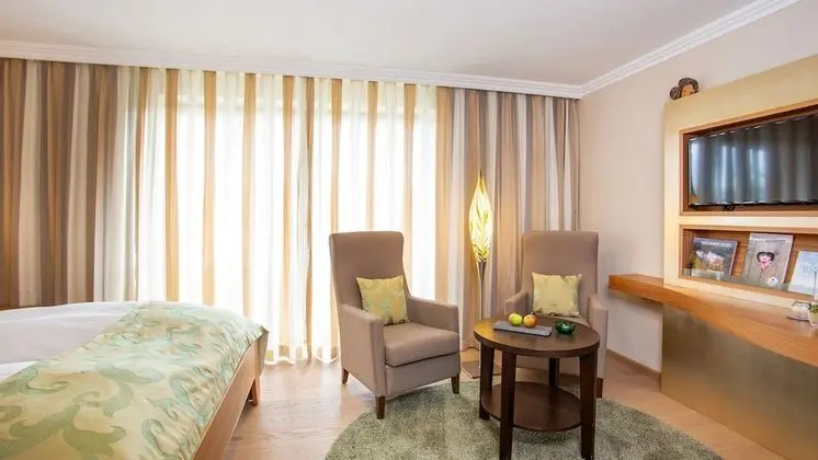 Tek Büyük Yataklı Oda (Themendoppelzimmer)