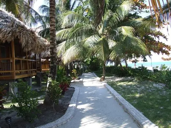 Bungalov, Okyanusa Sıfır