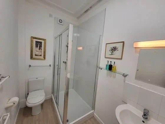 Superior Tek Büyük Yataklı Oda