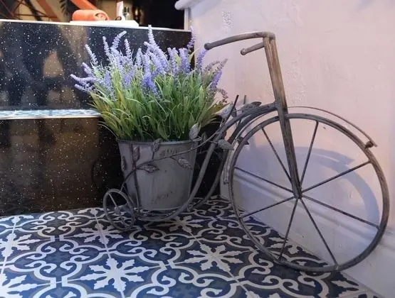 Deluxe Tek Büyük Yataklı Oda, Banyolu/Duşlu (Paris Suite)