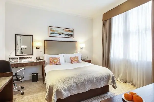 Executive Oda, 1 Çift Kişilik Yatak