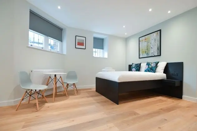 Lower Ground Floor Deluxe Studio