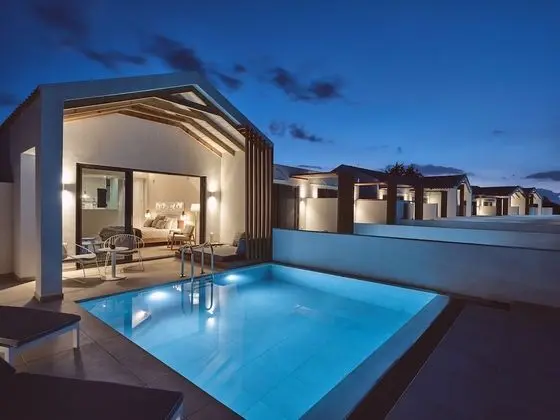 Deluxe Suite with Private Pool & Sea View