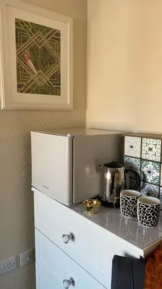 Tek Büyük Yataklı Oda, Banyolu/Duşlu (Room 2)