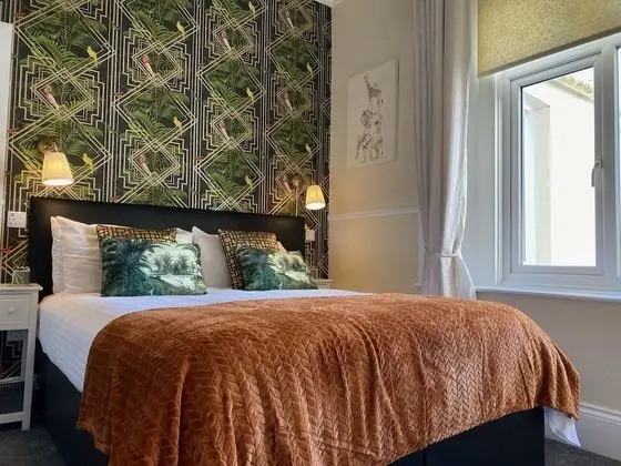 Tek Büyük Yataklı Oda, Banyolu/Duşlu (Room 2)