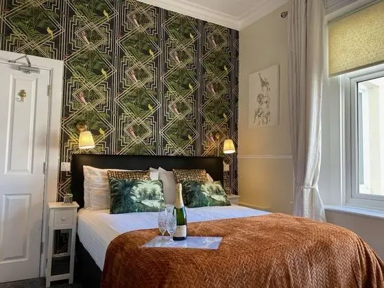 Tek Büyük Yataklı Oda, Banyolu/Duşlu (Room 2)