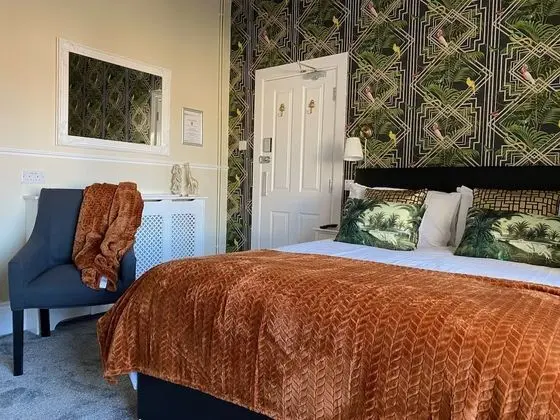 Tek Büyük Yataklı Oda, Banyolu/Duşlu (Room 2)