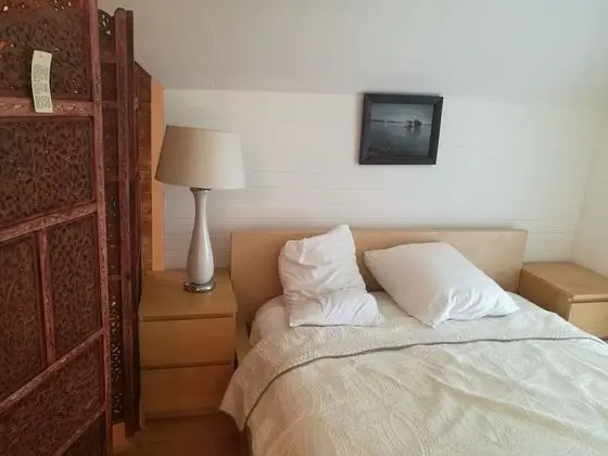 Çatı Katı Süiti (Penthouse), 2 Büyük (Queen) Boy Yatak, Küçük Mutfak, Nehir Manzaralı