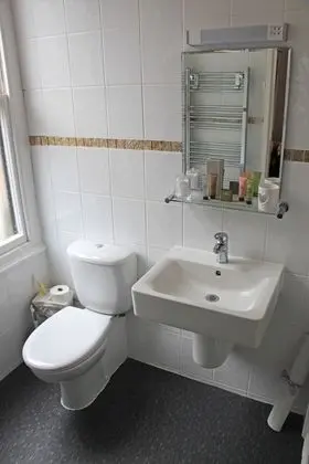 Superior Tek Büyük Yataklı Oda