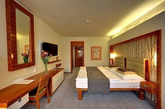 Classic Tek Büyük Yataklı Oda (with Wellness Access)