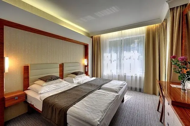 Classic Tek Büyük Yataklı Oda (with Wellness Access)