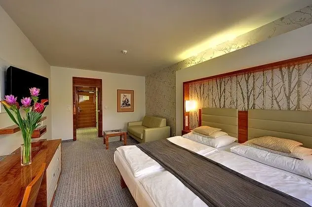 Classic Tek Büyük Yataklı Oda (with Wellness Access)