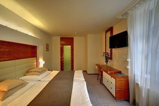 Classic Tek Büyük Yataklı Oda (with Wellness Access)