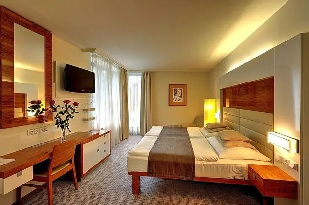 Classic Tek Büyük Yataklı Oda (with Wellness Access)