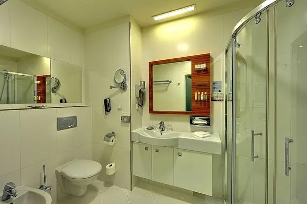Classic Tek Büyük Yataklı Oda (with Wellness Access)