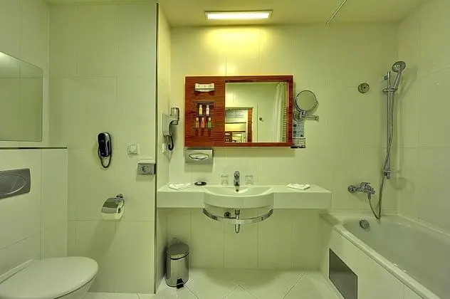 Classic Tek Büyük Yataklı Oda (with Wellness Access)