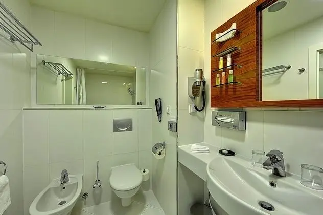 Classic Tek Büyük Yataklı Oda (with Wellness Access)