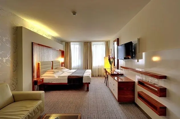 Superior Tek Büyük Yataklı Oda (with Wellness Access)