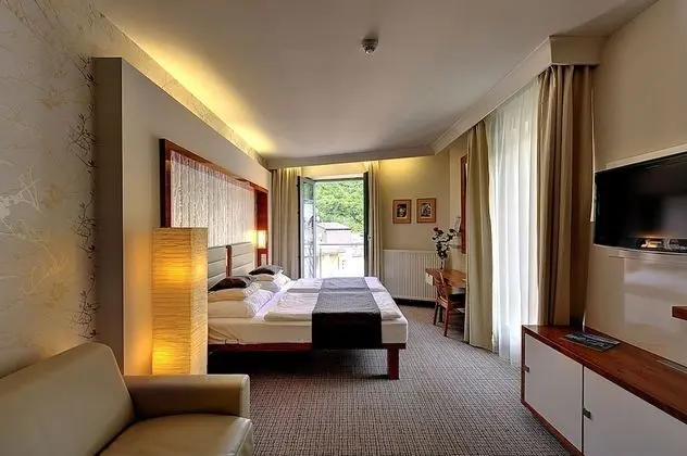 Superior Tek Büyük Yataklı Oda (with Wellness Access)