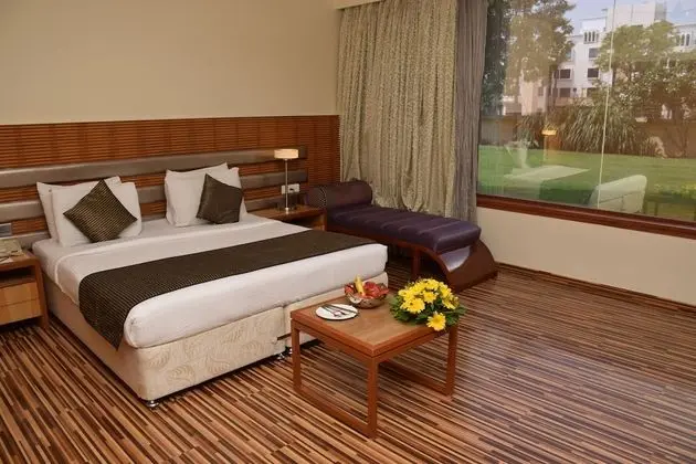 Deluxe Tek Büyük Yataklı Oda, Sigara İçilmez, Resort Manzaralı