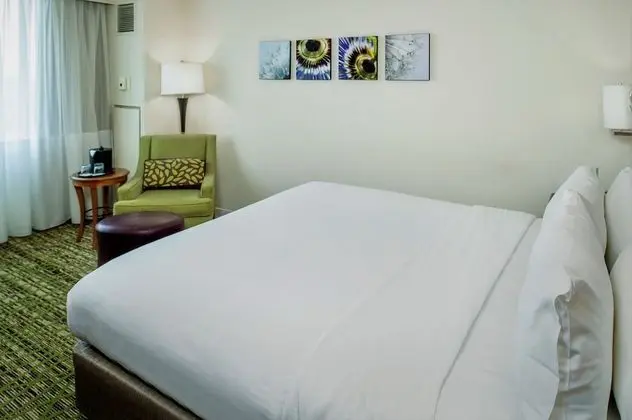 Concierge Room, Oda, 1 En Büyük (King) Boy Yatak