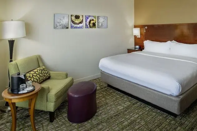 Concierge Room, Oda, 1 En Büyük (King) Boy Yatak