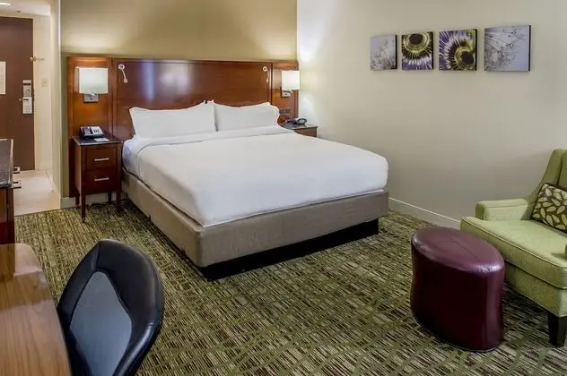 Concierge Room, Oda, 1 En Büyük (King) Boy Yatak